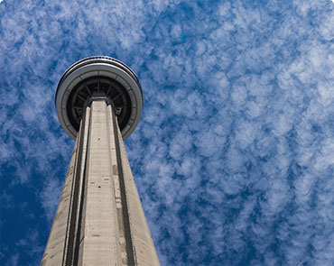 Step 2 - Purchase AGRITH